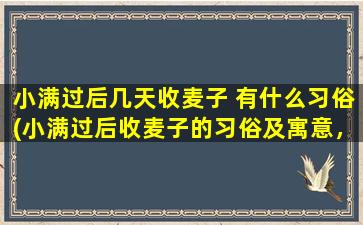 小满过后几天收麦子 有什么习俗(小满过后收麦子的习俗及寓意，传统文化巧妙融合现代生活！)